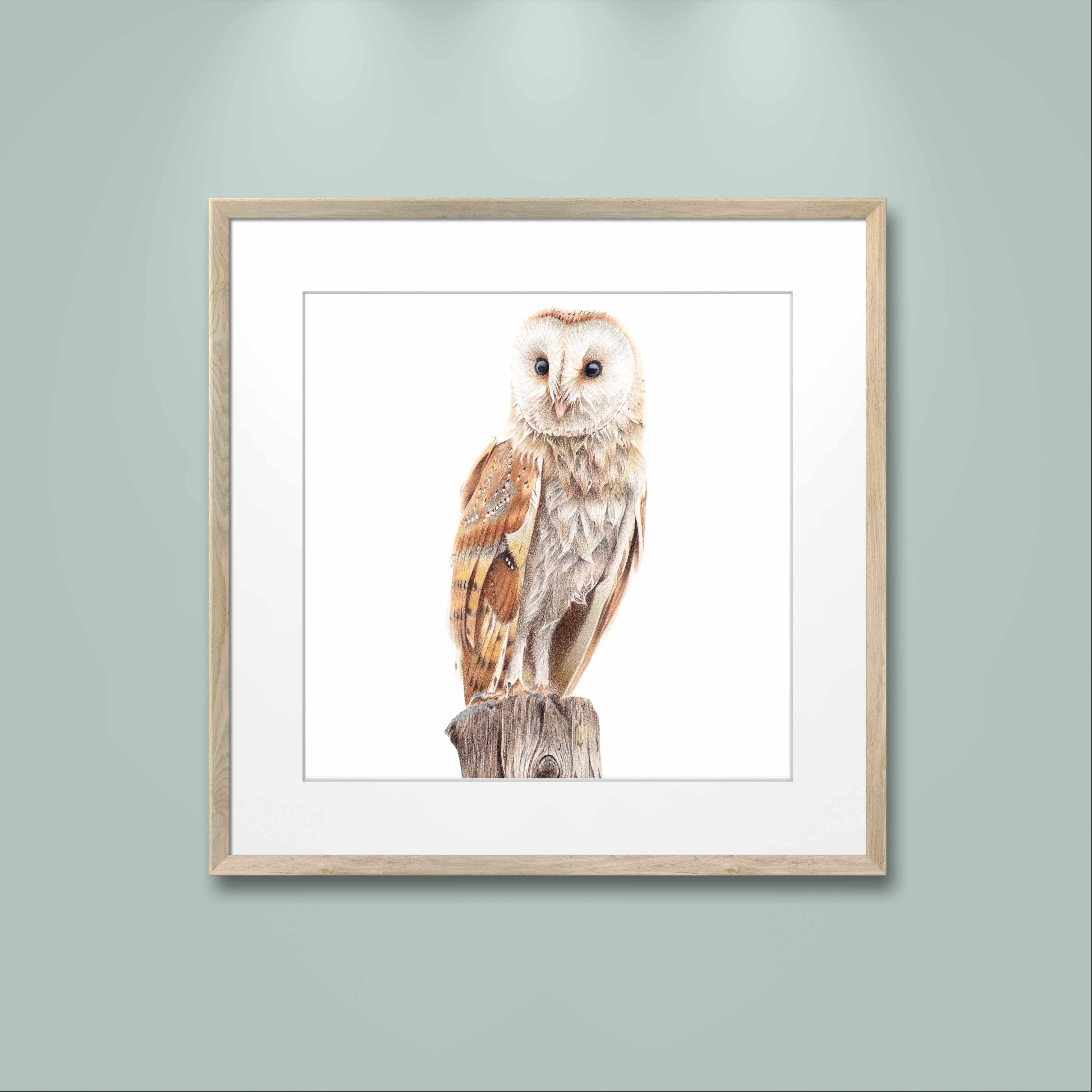 Barn Owl Mini Square Print