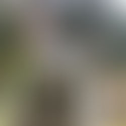 【令和5年3月10日】潟保八幡神社で祈年祭が行われました。