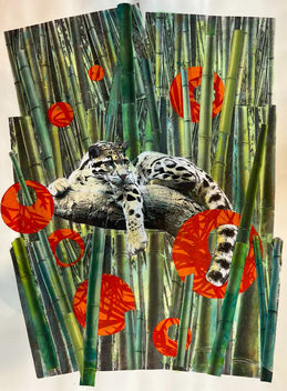 Cloud Leopard Print by Dr. Joanna Maytree