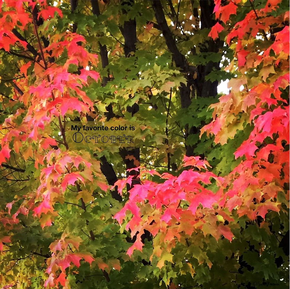 Thumbnail: Four Seasons Metal Prints by Sarah Routman
