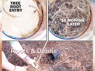 Why Are My Drains So Slow?