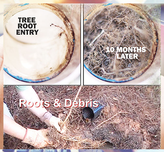 Why Are My Drains So Slow?