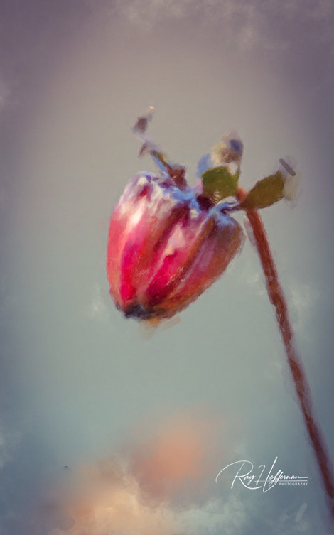 97AB914F-D6E4-44D7-87F5-732952F91794.jpeg