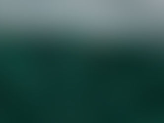 A woman with open arms enjoying freedom in a foggy green landscape.
