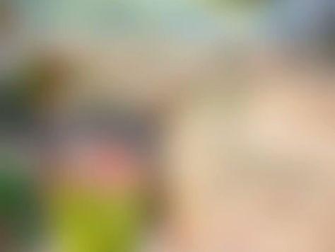 "Tipsy Tuesday" Holiday Edition: The Grinch Cocktail!