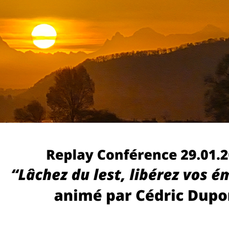 Replay conference "Lâchez du lest, libérez vos émotions"