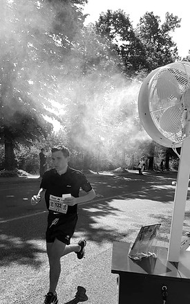 brumisateur ventilateur