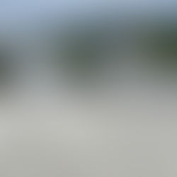 Comment les îlots de fraîcheur transforment le paysage urbain en France