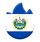 BANDERA SV.png
