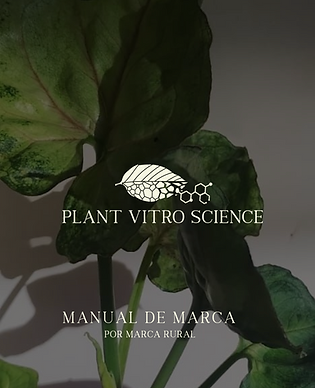 Captura de pantalla 2025-05-07 a la(s) 13.25.43.png