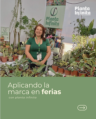 Captura de pantalla 2025-05-07 a la(s) 13.23.21.png