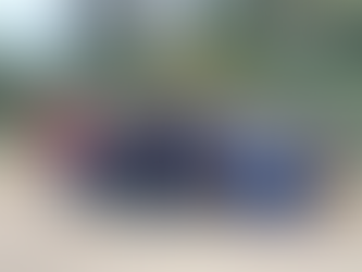 Ejército de la República Dominicana intercepta vehículo con 20 haitianos en condición irregular en Valverde