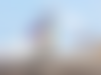 Arajet lanzará nuevas rutas aéreas en Estados Unidos para el 2026