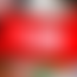 YouTube presenta fallas masivas y usuarios reportan caída global