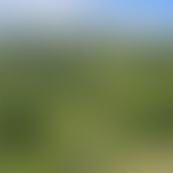 Arroyo Grande: descubre la magia del turismo de montaña