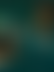 Suplantan al actor de “El juego del calamar” y estafan a una mujer con $350,000 dólares