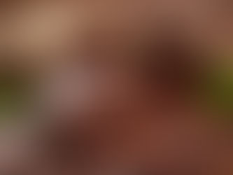 Cacao baja y también el precio en los mercados internacionales