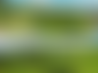 Productores de la comunidad de Arroyo Grande, provincia Hermanas Mirabal, alzan la voz ante las dificultades que enfrentan para sacar sus cosechas