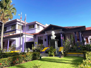 TSE frena al PLD: Anula plan de escoger candidato presidencial