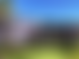 TSE frena al PLD: Anula plan de escoger candidato presidencial