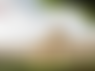 Presidente Abinader declara emergencia nacional por daños del fenómeno atmosférico Melissa