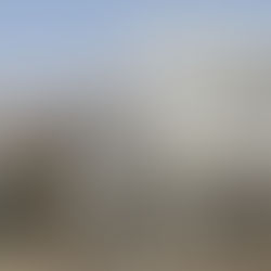 La Inoperancia de los Organismos Internacionales ante Intervenciones Sin Autorización