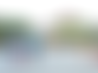 Mescyt y UASD tratarán tema de revalidación títulos a psicólogos