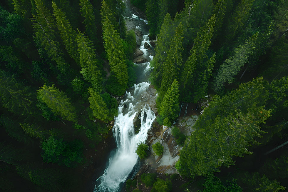 Aerial view of a waterfall flowing through lush green forest with tall trees. The water cascades over rocks, creating a serene, natural scene.