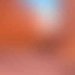 red switch backs with red rock walls and blue sky