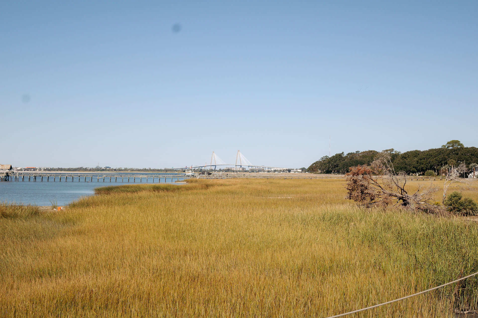 marsh land with charleston bridge views