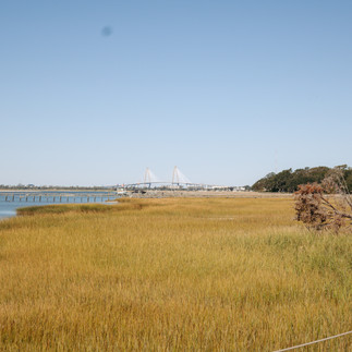 marsh land with charleston bridge views