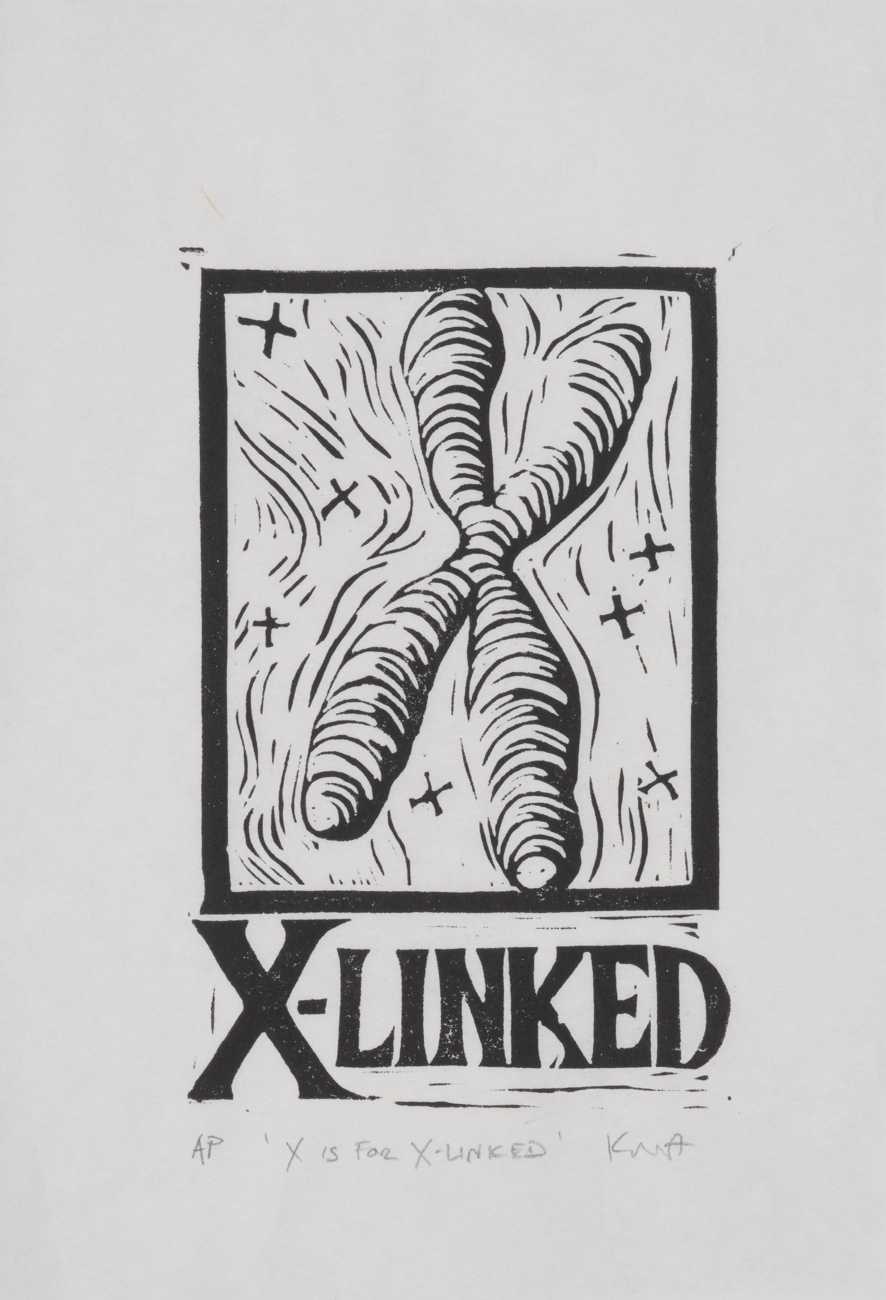 X is for X-linked