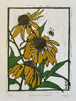 Black Eyed Susans 2024