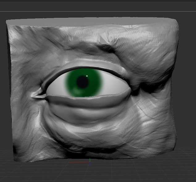 eye.JPG