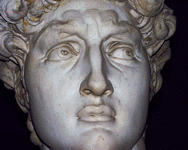 david-head-closeup-w-laser-s.gif