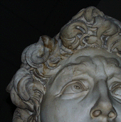 david-photo-of-hair-s.gif