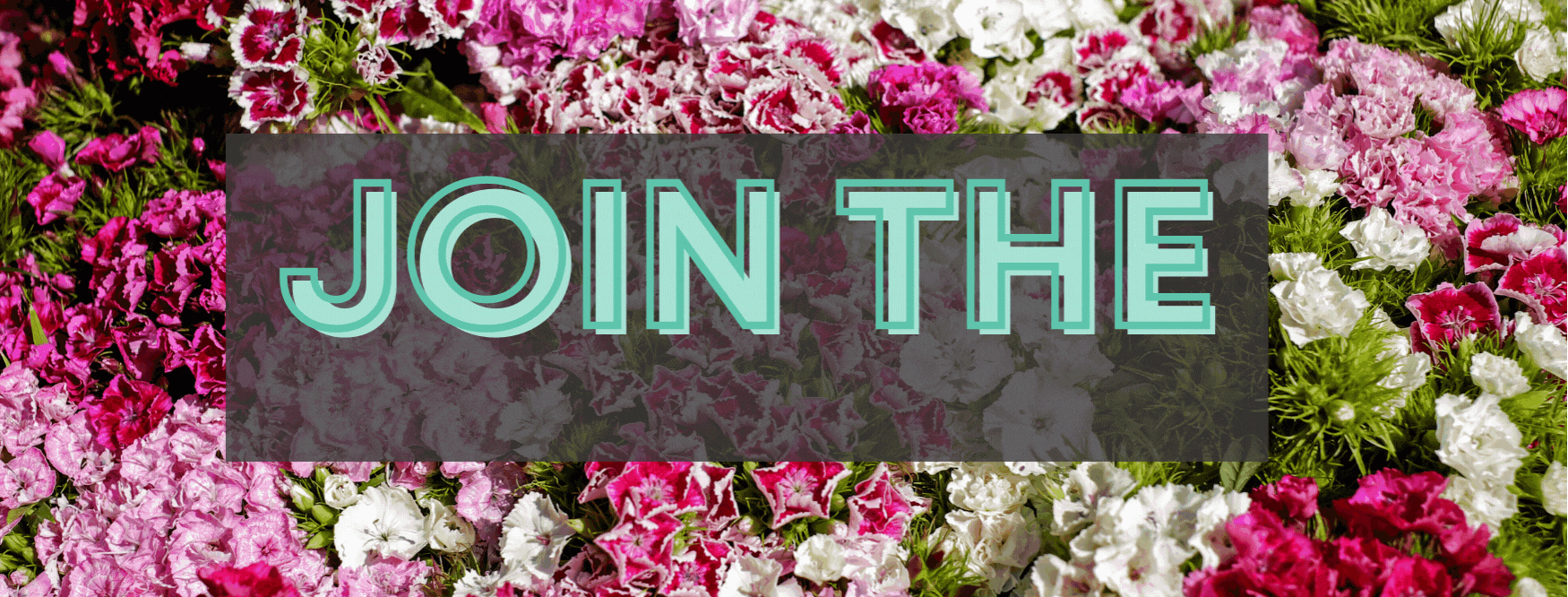 WEBSITE HEADERS.gif