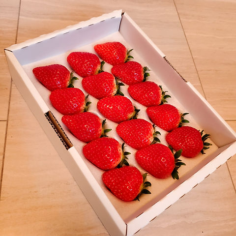 商品一覧 | 小野口いちご園 壬生町のいちごやさん