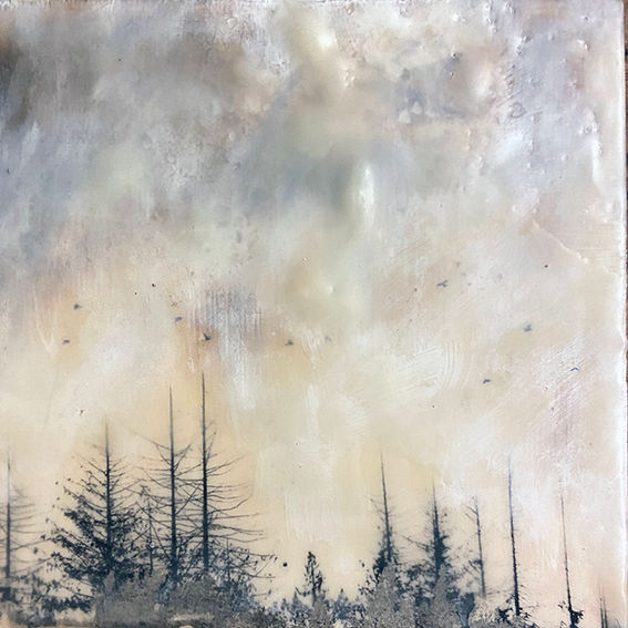 Ode to Cedars12.jpg