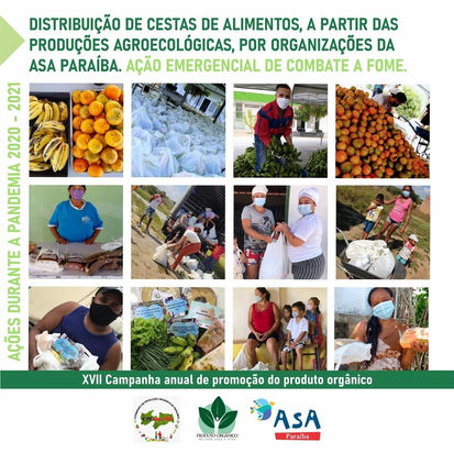 Centrac distribuiu cestas básicas com alimentos da produção agroecológica