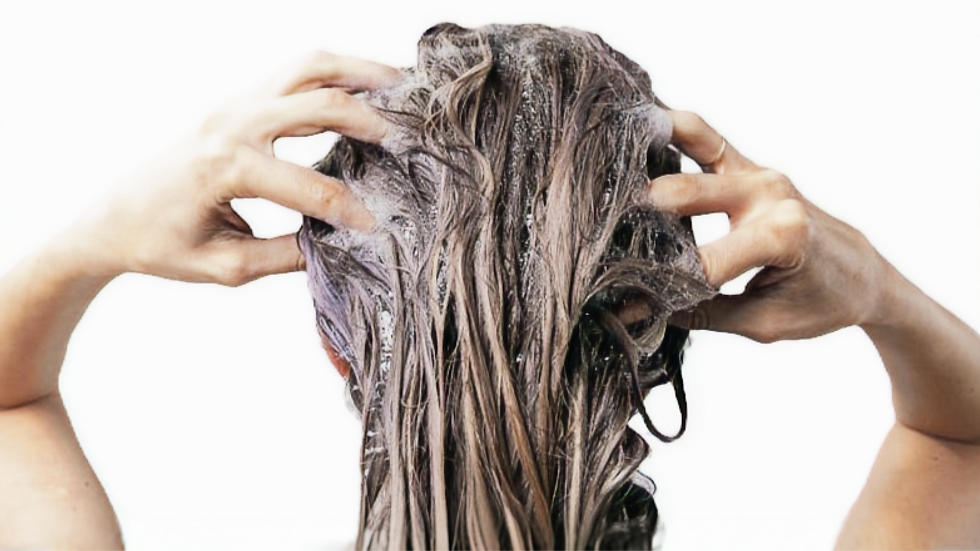 Person with wet, shampoo-covered hair massages their scalp with both hands against a white background.