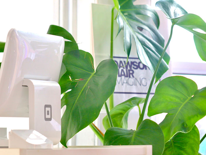 Dawson Hair & Imaging's point of sale salon reception area with large green leaves.