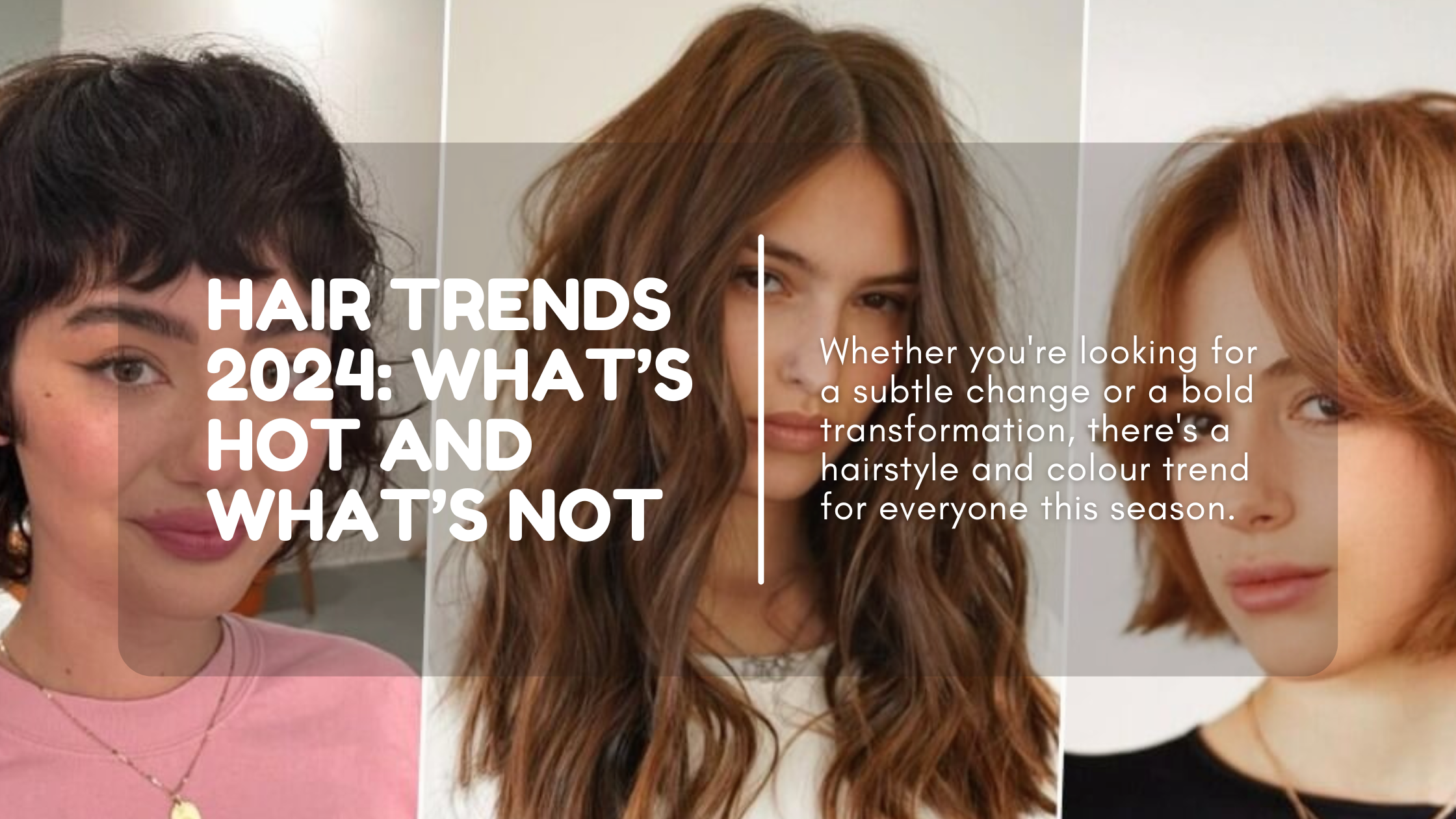 All Posts | Brighton's No.1 Hair Blog | Dawson Hair and Imaging | North ...