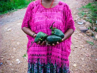 Vegetables that Make a Difference