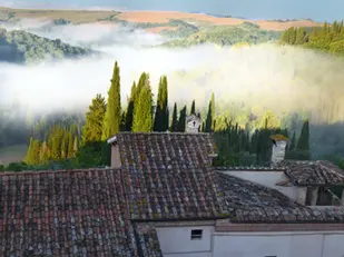 Monterongriffoli: An August morning