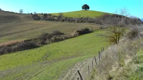 The "wishing oak" on the road to Pieve a Salti