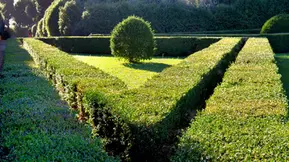 Geometric box hedges in the Horti Leonini gardens in San Quirico d'Orcia