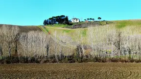 Near Buonconvento