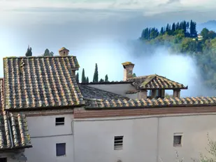 Monterongriffoli: Morning mist begins to clear behind the Fattoria, revealing the cypresses of Monte Vecchio on the ridge beyond