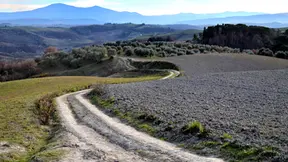 A track winds southwards near Poggio Rinaldi